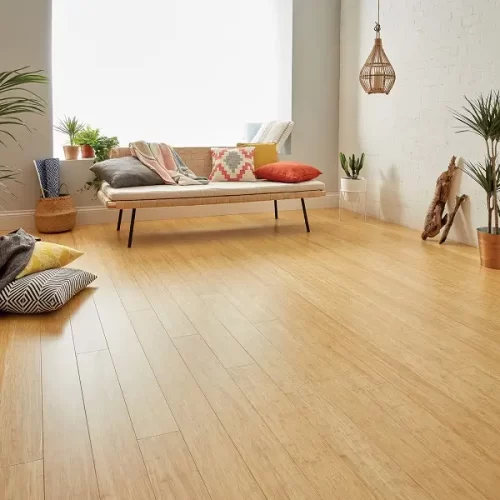 bamboo Flooring in living room