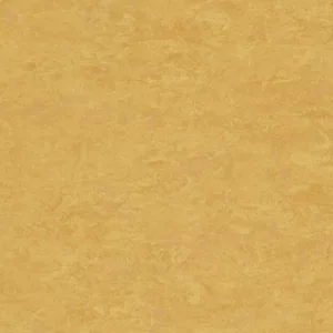 Sports Flooring